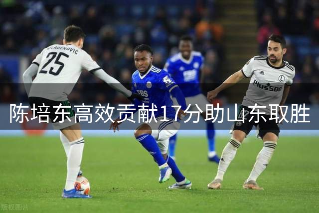 陈培东高效贡献17分助山东取胜